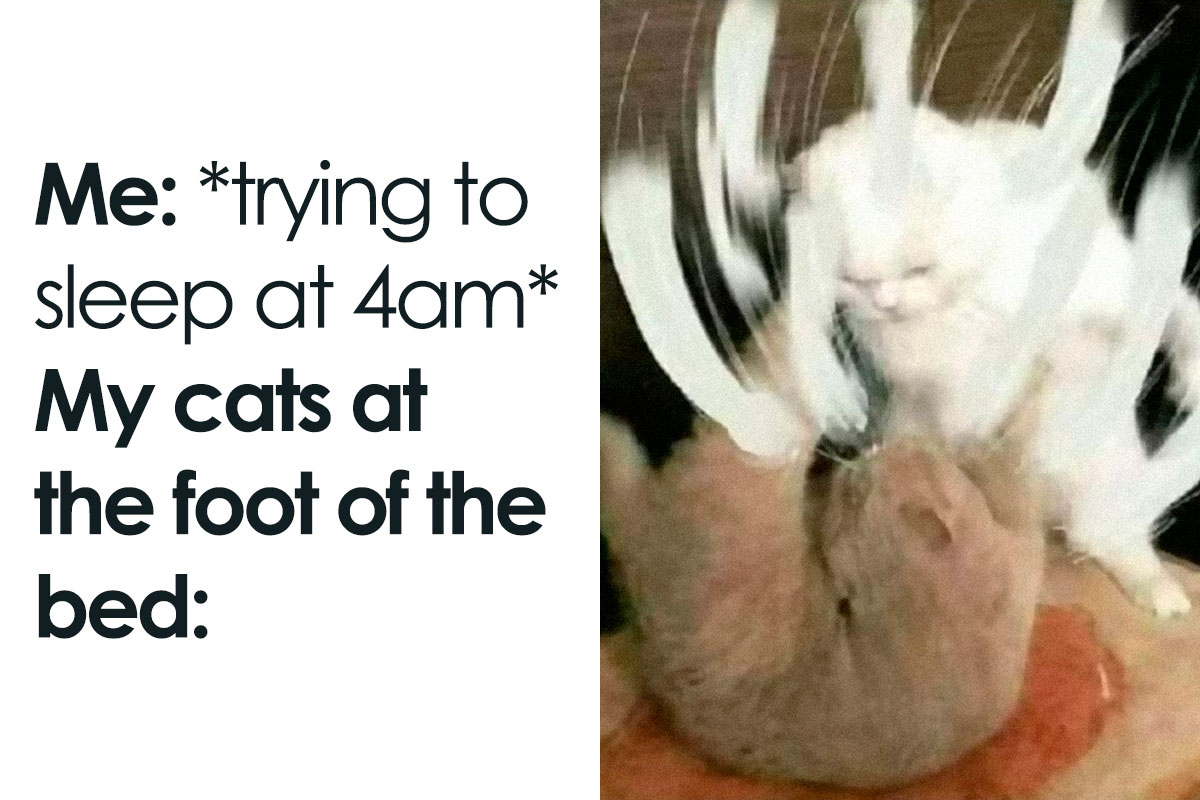 50 Hilarious Memes To Both Heal You And Make You Worse Courtesy Of 