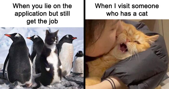 88 Of The Funniest Animal Memes To Put A Smile On Your Face, As Shared By “Obsessed With Animals”
