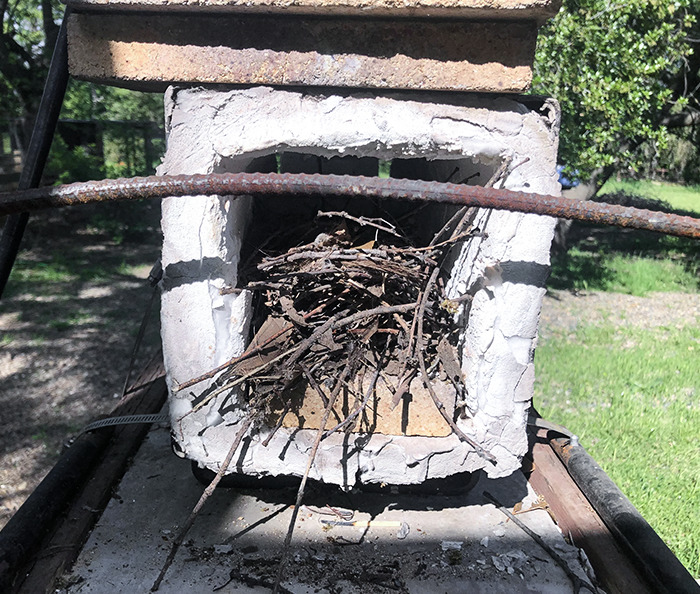 A Bird Built A Nest Inside My Forge