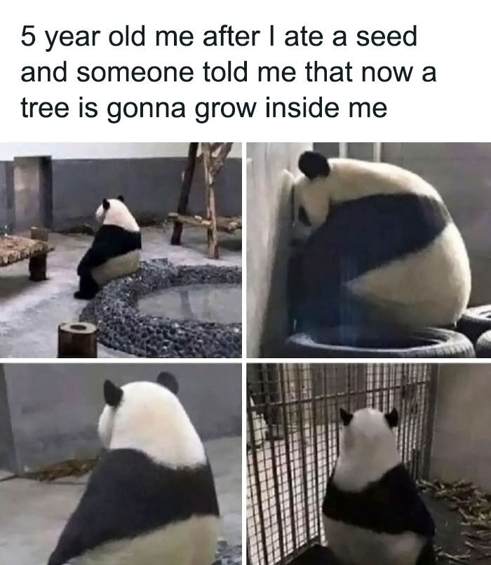 This Page Is Dedicated To Funny And Relatable Memes And Here Are 50 Of 