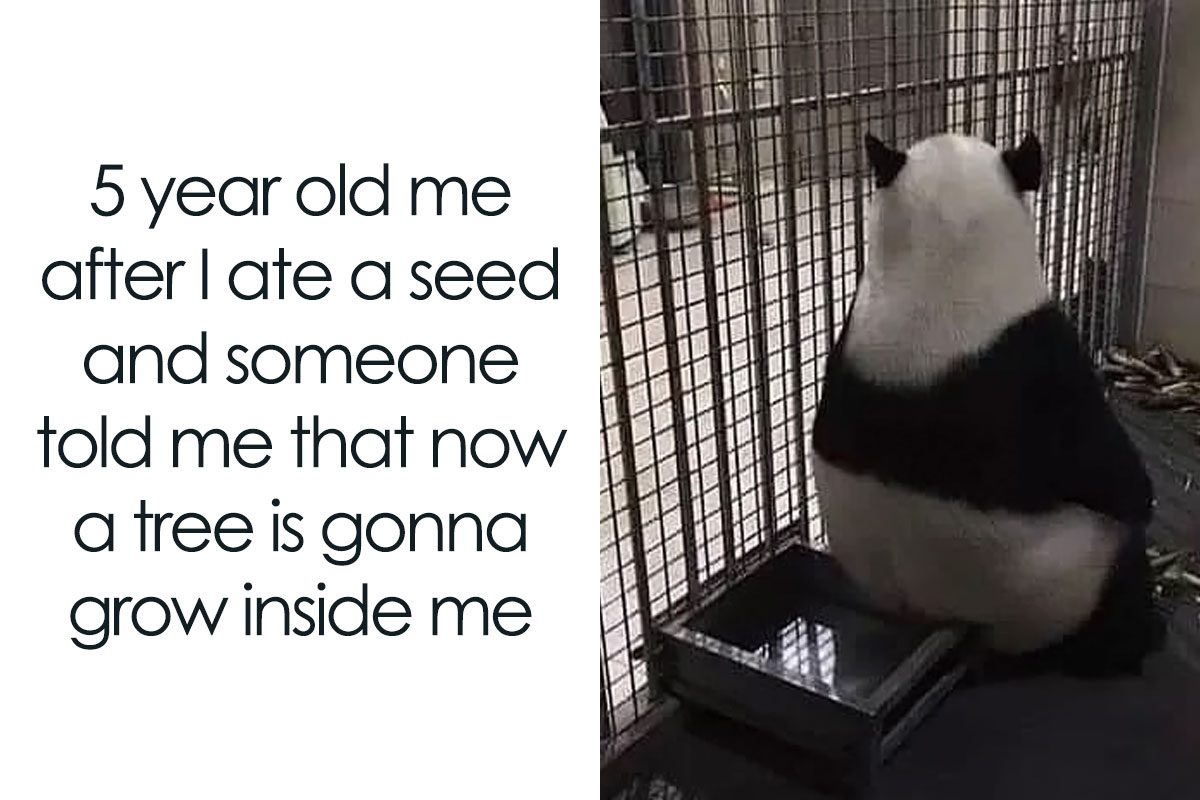 50 Funny Brain Memes That Might Get You Thinking Bored Panda