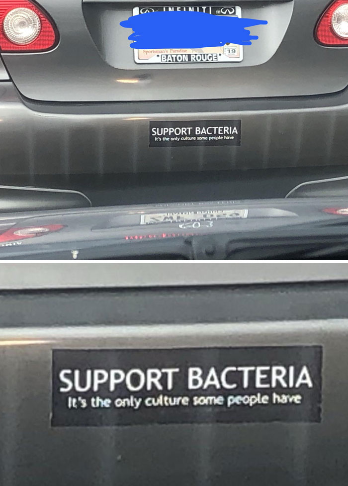 Saw This Bumper Sticker On My Way To Class Last Week