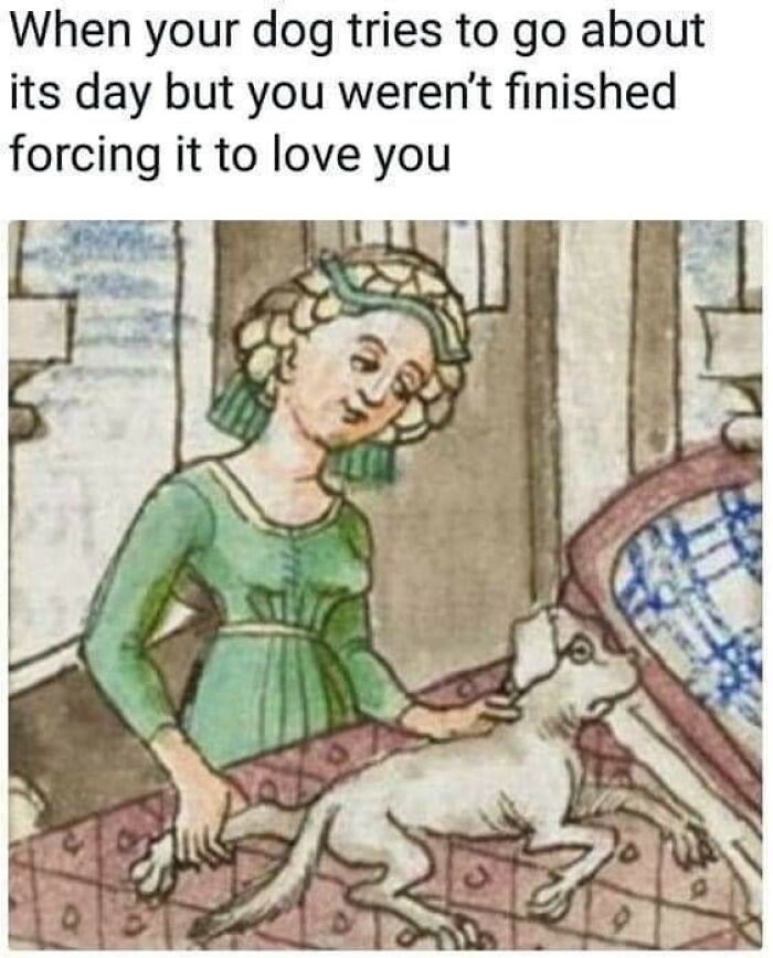 Funny-Dog-Memes-Pics