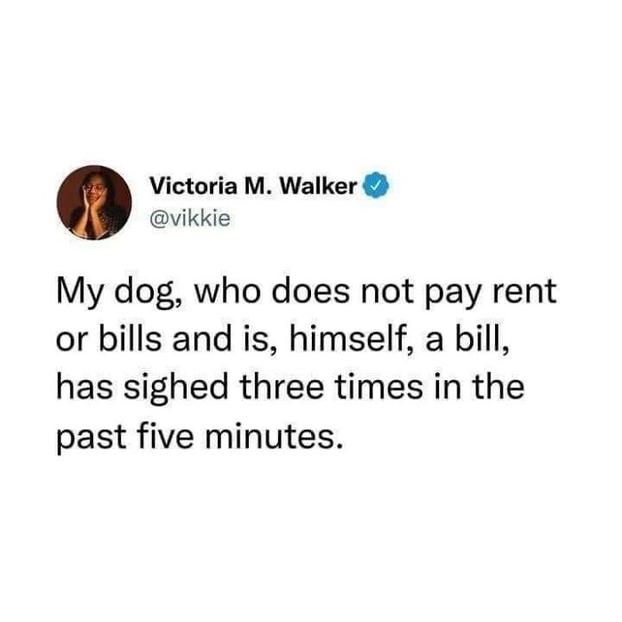 Funny-Dog-Memes-Pics