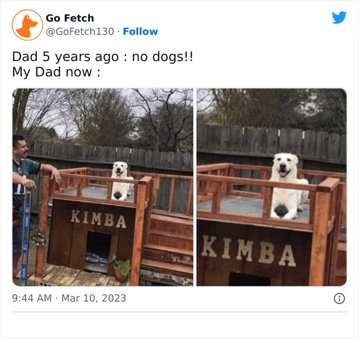 Funny-Dog-Memes-Pics