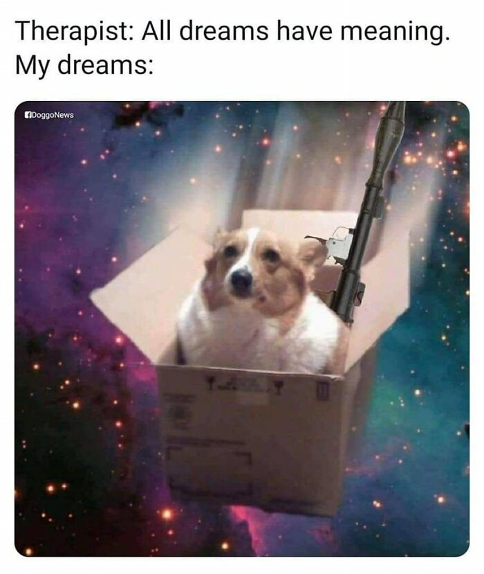 Funny-Dog-Memes-Pics