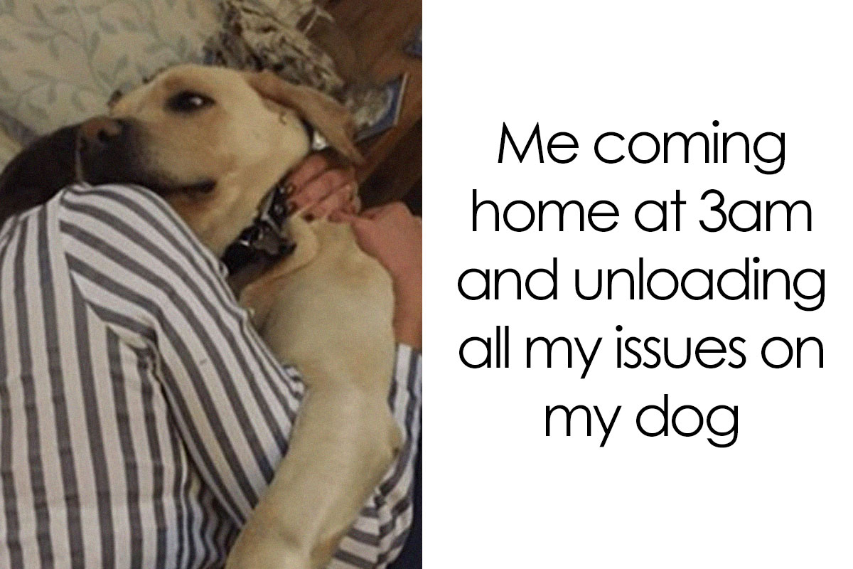 This Facebook Page Is All About Relatable Dog Memes, Here Are 50 Of The ...