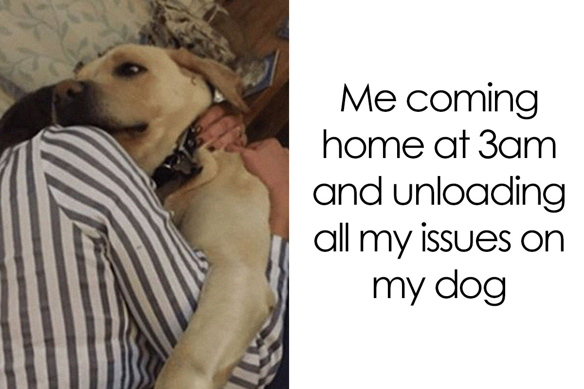 This Facebook Page Is All About Relatable Dog Memes Here Are 50 Of The This Facebook Page Is All About Relatable Dog Memes Here Are 50 Of The