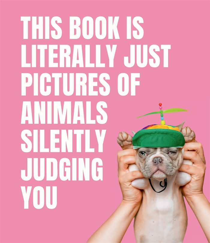 Product photo for "This Book Is Literally Just Pictures Of Animals Silently Judging You"