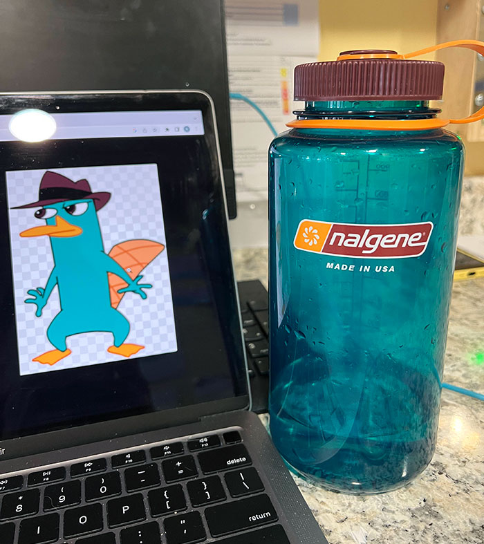 A Coworker Said That My Water Bottle Looks Like Perry The Platypus, And Now I Can't Unsee It