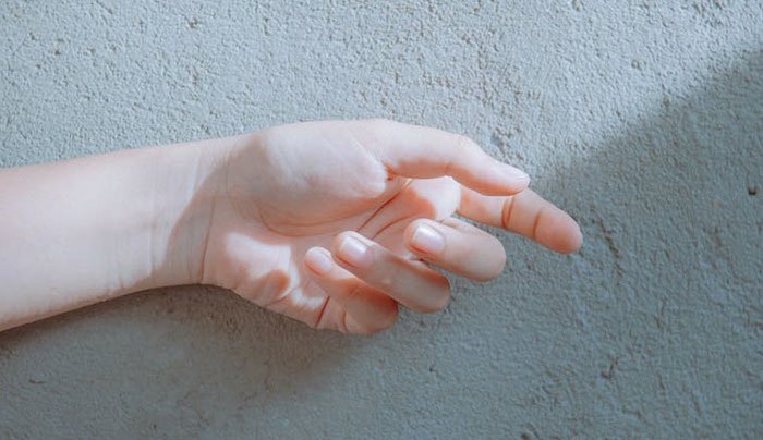 There Are No Muscles In Your Fingers: Their Function Is Controlled By Muscles In Your Palms And Arms