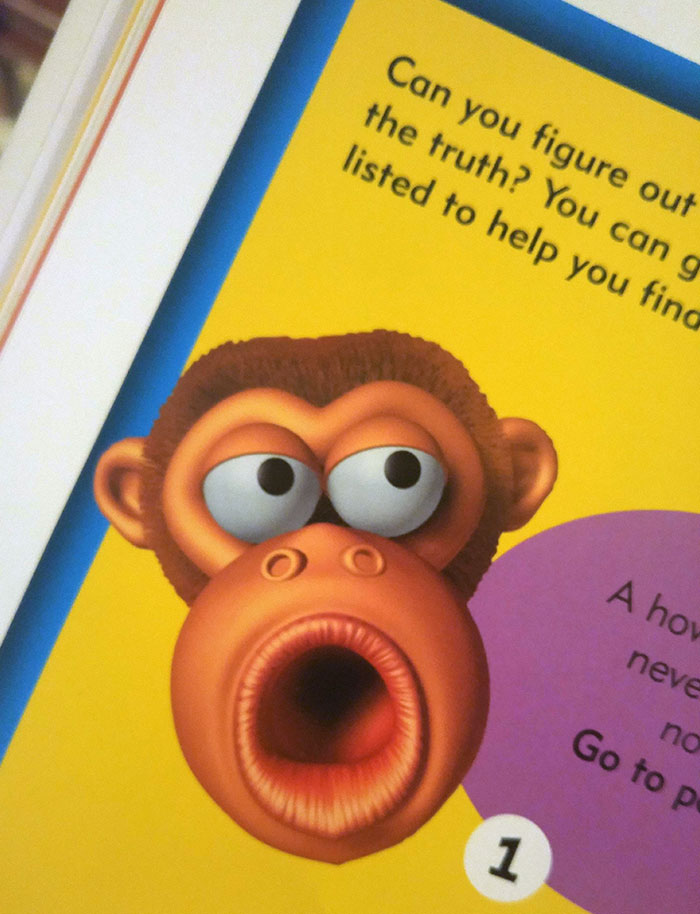 A Monkey From My Son's Nature Book