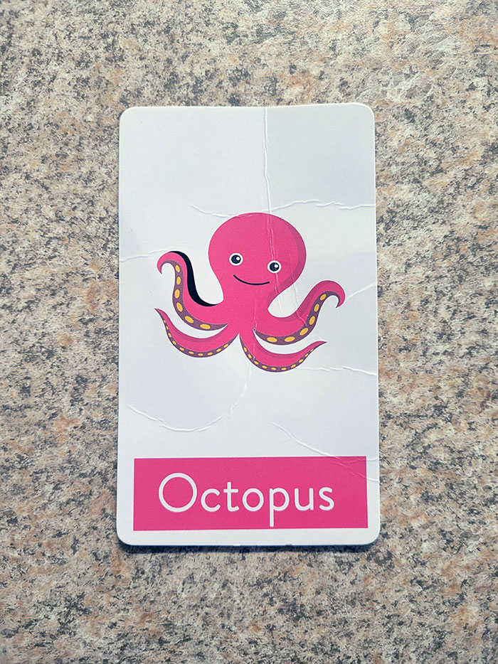 This Octopus From My Kid's Flashcards Is Missing Something. I Had To Attempt To Explain That An Octopus Actually Has 8 Arms