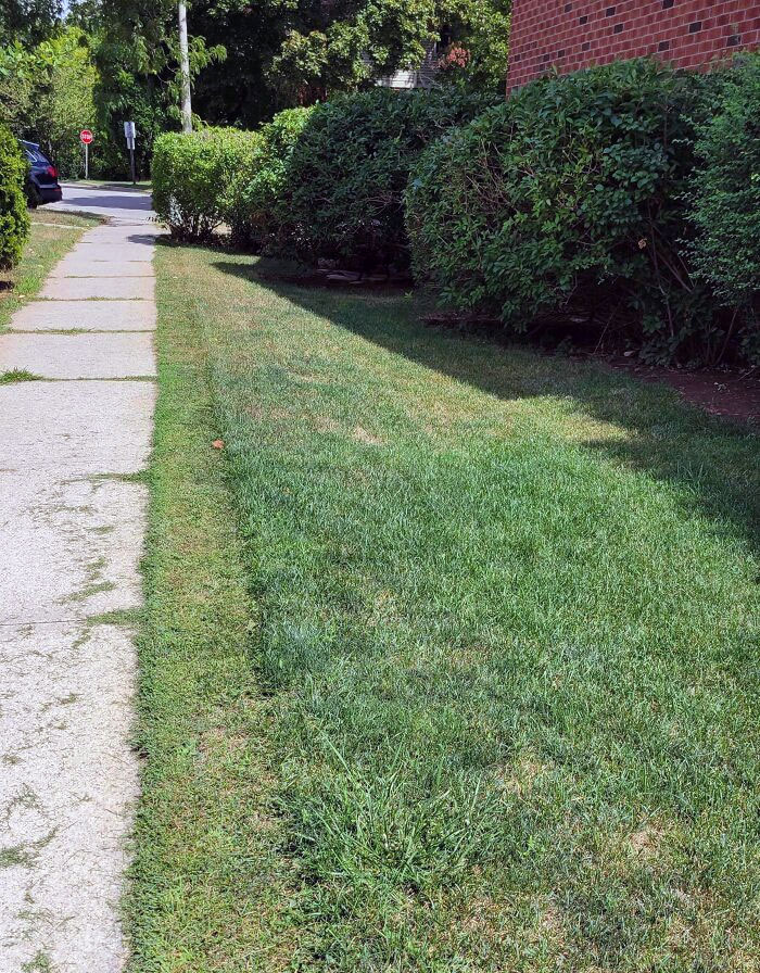 My Neighbor Passive-Aggressively Told Me To Mow My Lawn