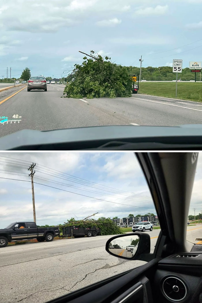 Idiot Dragging A Tree Down A Highway