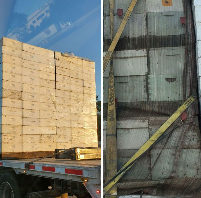 I Saw A Truckload Of Bees Being Transported On The Highway Yesterday