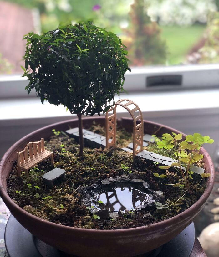 Miniature Garden I Made For Mother For Mother's Day A While Ago