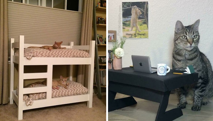 30 Tiny Beds, Sofas, And More Furniture Made Just For Cats, Shared In This Online Group