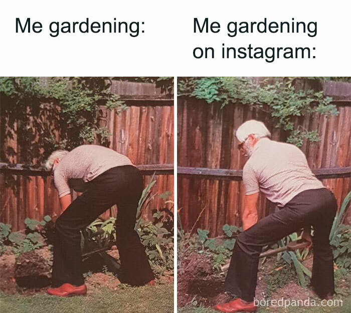 Gardening-Humour-Memes