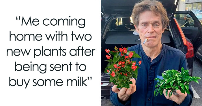 39 Hilariously Relatable Memes For People Who Love Their Plants Just A Little Bit Too Much