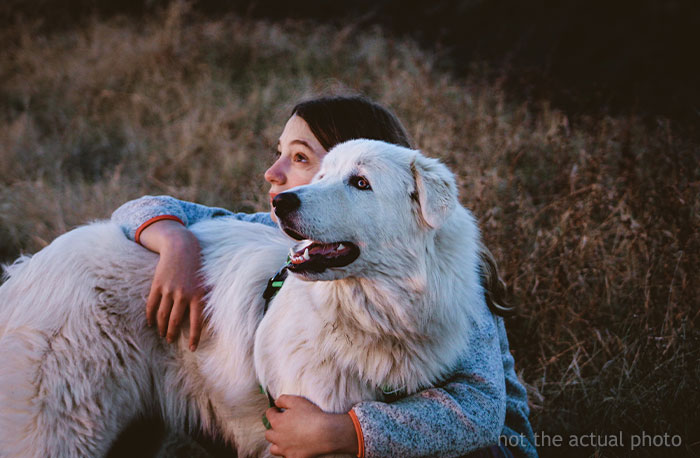 “[Am I The Jerk] For Being Uncomfortable With My GF Being Naked Around Her Dog?”