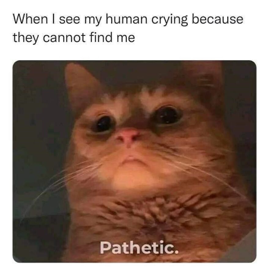 Things To Laugh At When You Are Trying To Be Serious In A Lecture Or Smthng