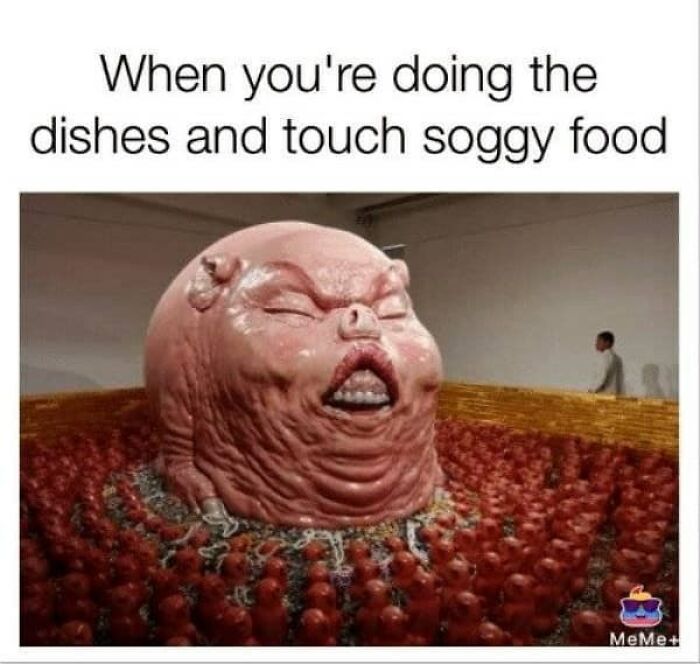 50 Glorious Cooking Memes To Make The Chefs In Your Life Nod In 