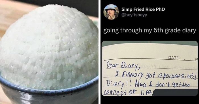 50 Hilarious Memes Shared Every Hour By This Twitter Account
