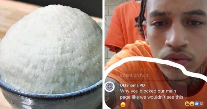 50 Hilarious Memes Shared Every Hour By This Twitter Account