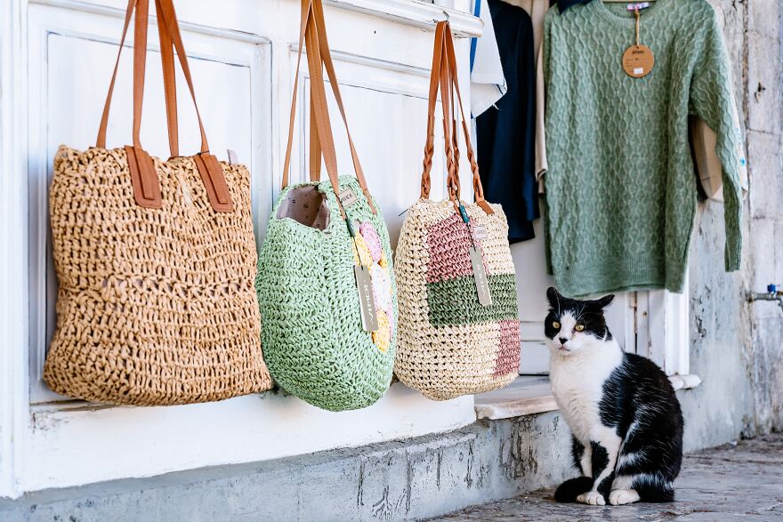 Hydra's Feline Fantasy: 40 Captivating Photos Of The Island's Beloved Cats