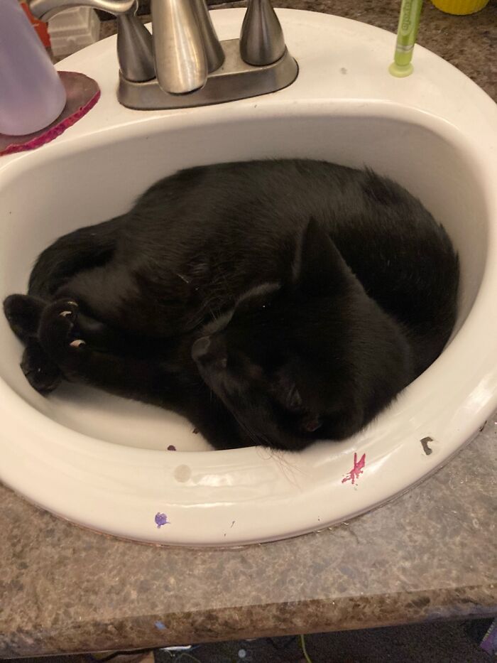 Every Time I Brush My Teeth