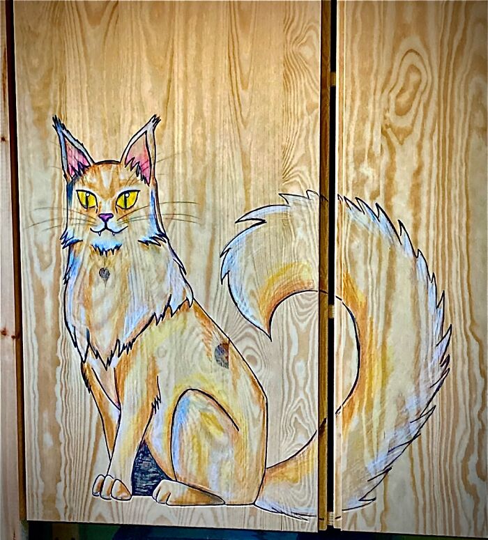 On The Doors To Where I Keep My Hobby Supply. Portrait Of Our Maine Coon Sir Flexington