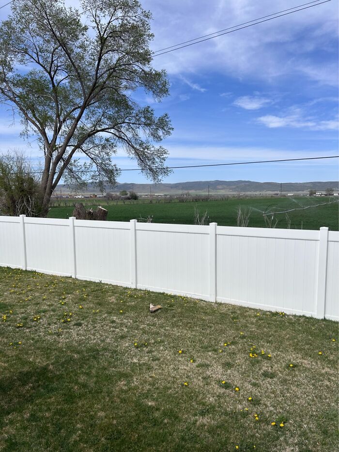 My Backyard View. I Love Living In The Middle Of Nowhere