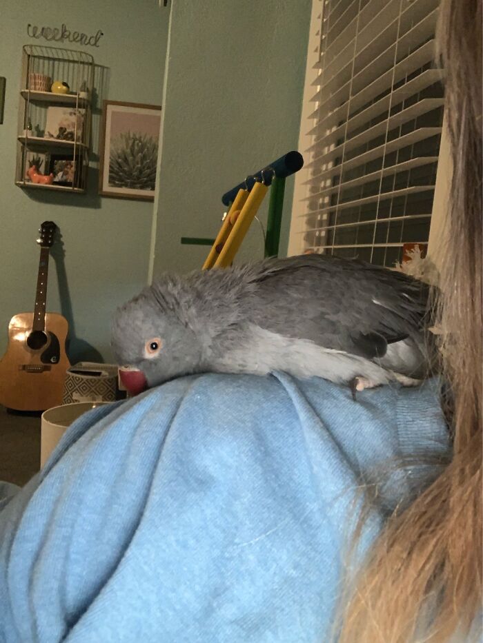 This Sleepy Little Man 💜