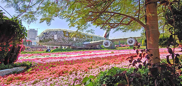Dubai Miracle Gardens