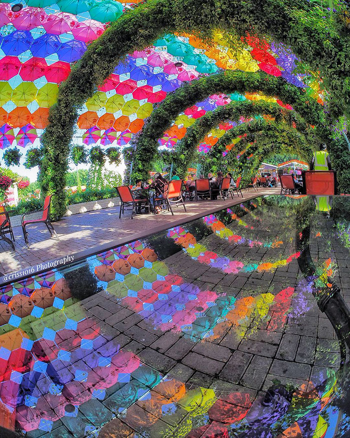 An Amazing Umbrellas Reflection In Dubai. Miracle Garden