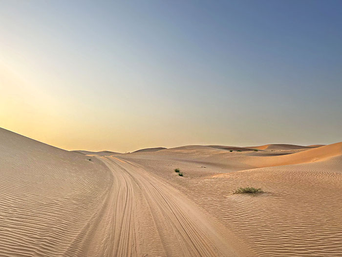 Dubai Desert. I'm Impressed By How Calm It Is, Compared To The City