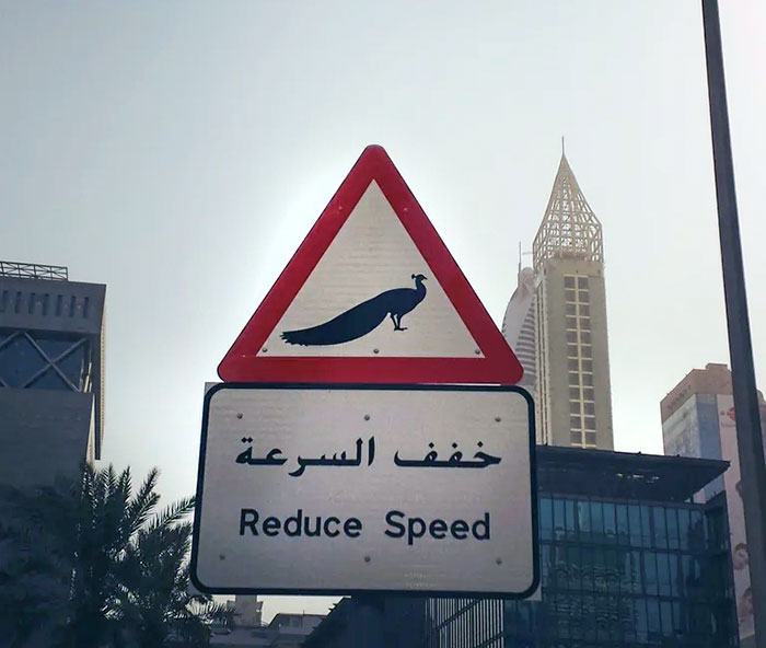 A "Peacocks Crossing" Road Sign