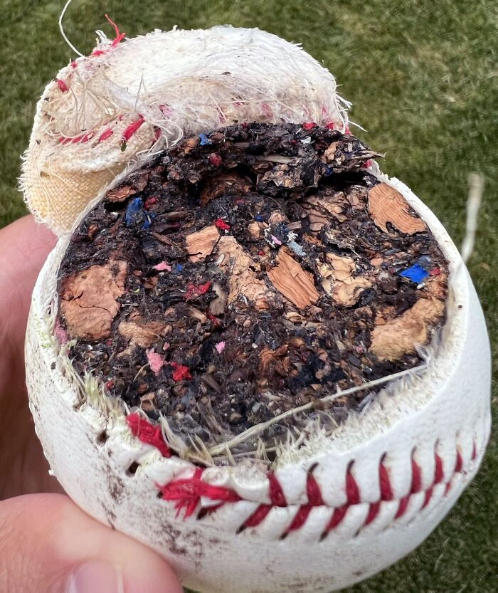 Accidentally Cut Open A Cheap Kid's Baseball With My Lawn Mower
