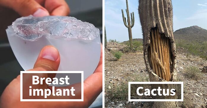 50 Times Things Got “Opened” And People Saw Interesting Things Inside (New Pics)