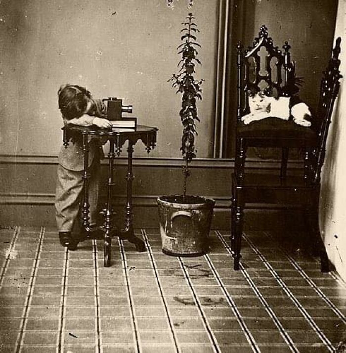 A Promising Young Photographer, 1880s