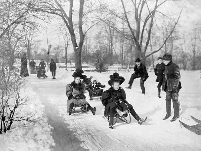 Children Sled Down A Snow-Covered Path In Central Park, 1901