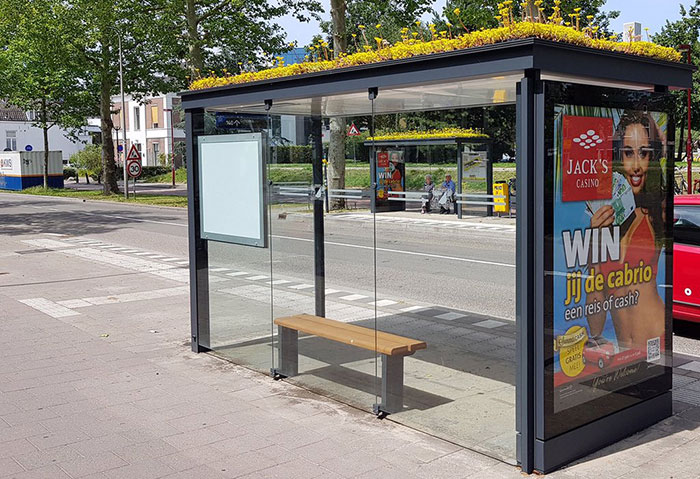 Dutch Cities Have Managed To Stabilize Urban Bee Populations By Turning Bus Stops Into "Buzz Stops"