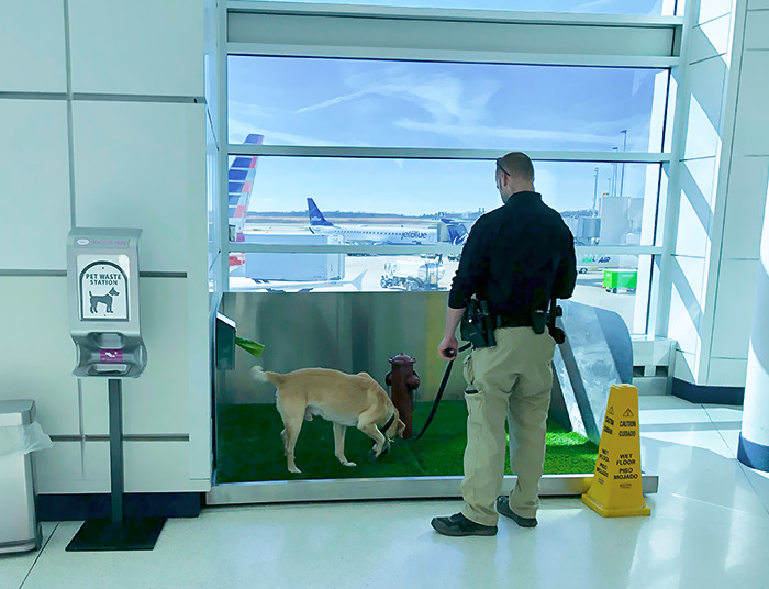 This Dog-Needs Station At The Airport I Traveled Through A Couple Of Days Ago, Complete With A Fire Hydrant