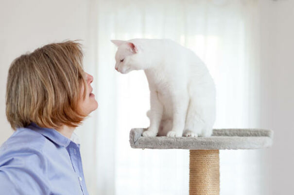 The Story Of Oliver, The Talking Cat The Story Of Oliver, The Talking Cat