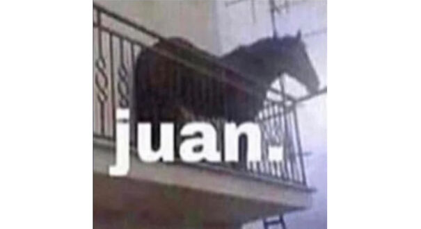 juan-horse-memes-.jpg