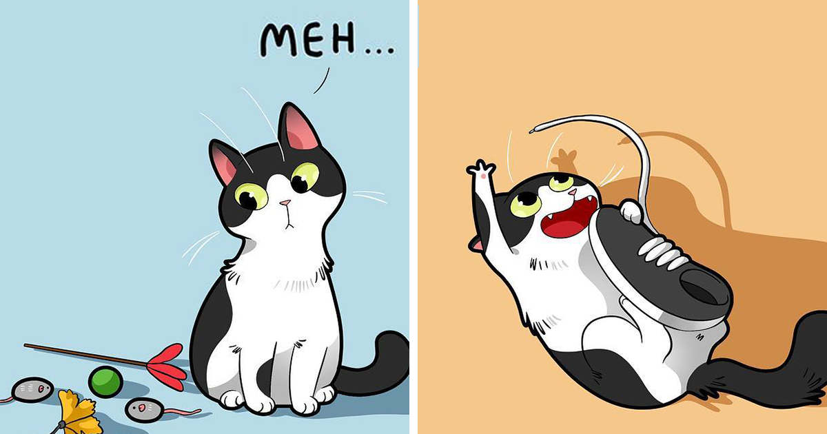 Esta artista ilustra cómo es vivir con un gato (25 nuevos cómics)