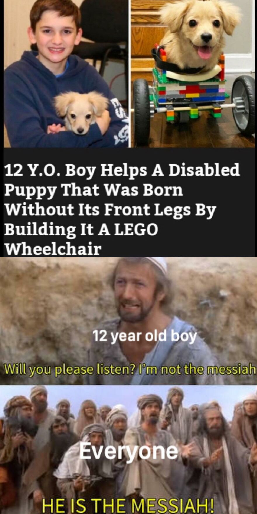 Things To Laugh At When You Are Trying To Be Serious In A Lecture Or Smthng