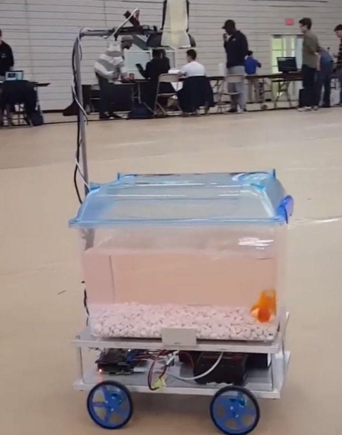 This Device Tracks The Goldfish's Movements And Moves In The Direction The Goldfish Swims Towards