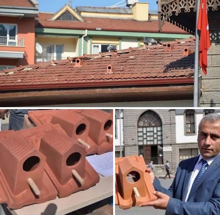 A Turkish Factory Called 'Hitit Terra' Produces Roof Tiles That Provide A Home For Birds